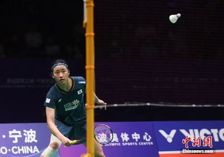 篮以稳定和 篮以稳定和